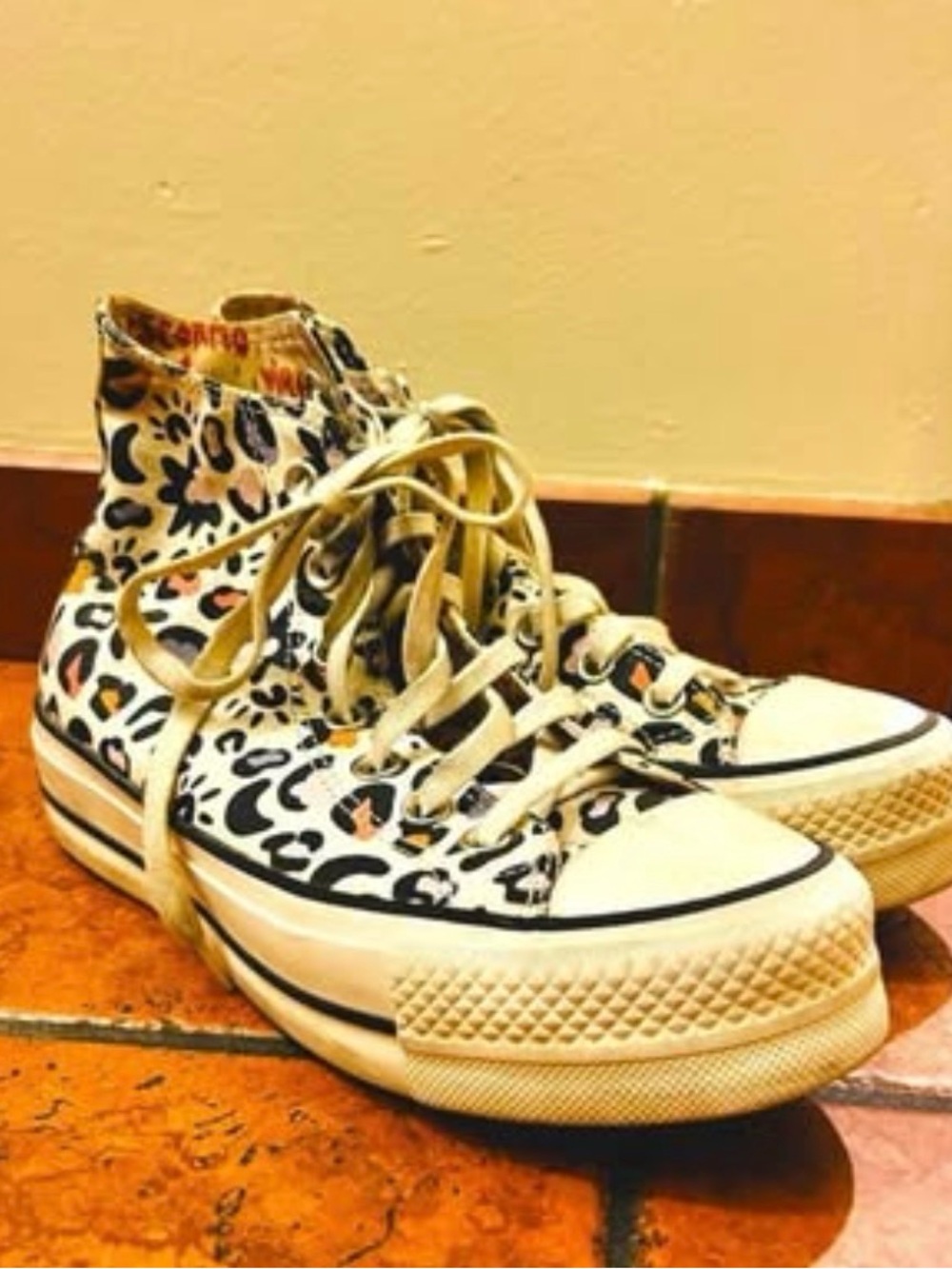 Leopard-Print High-Top Canvas Sneakers in Cream